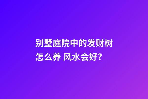 别墅庭院中的发财树怎么养 风水会好？